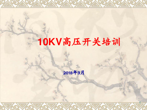 10KV高压开关柜操作(培训)PPT课件