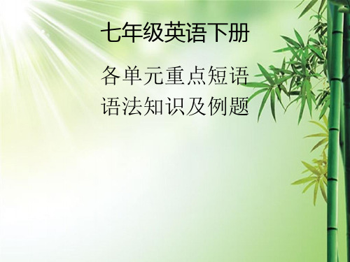 人教版七年级英语下册期中复习.ppt