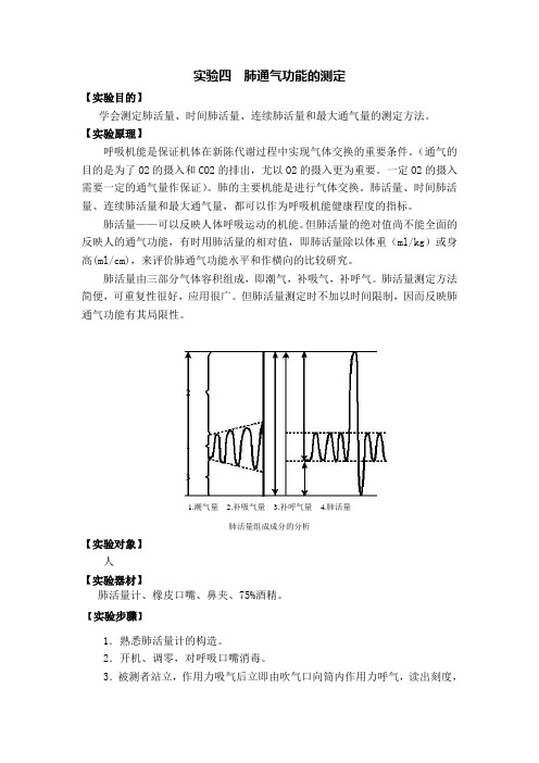 实验四  肺通气功能的测定