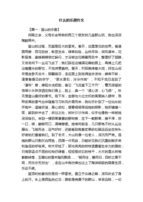 什么的乐趣作文