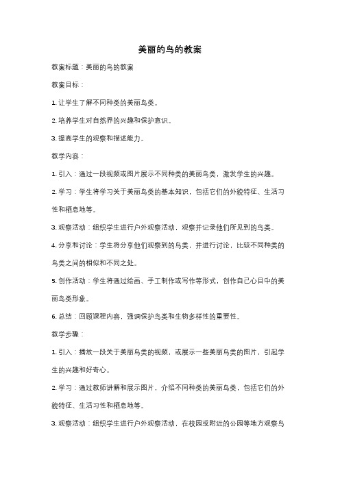 美丽的鸟的教案