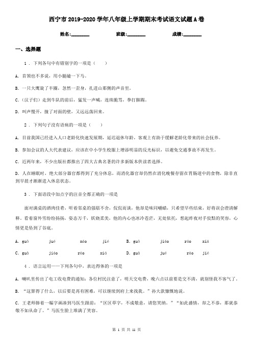西宁市2019-2020学年八年级上学期期末考试语文试题A卷