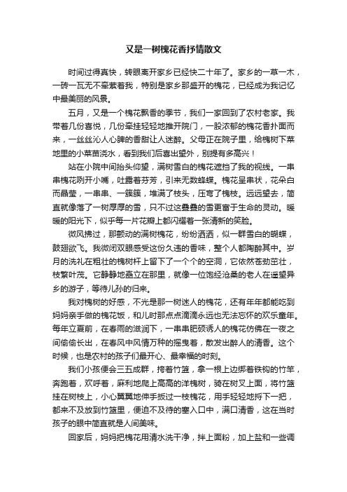 又是一树槐花香抒情散文