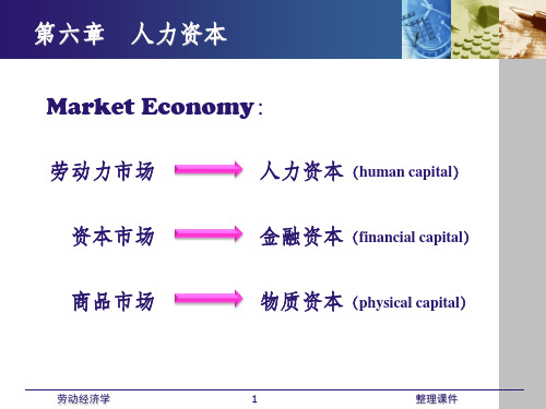 劳动经济学(全) 第六章 人力资本