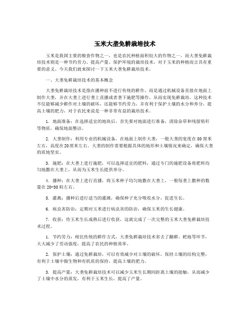 玉米大垄免耕栽培技术