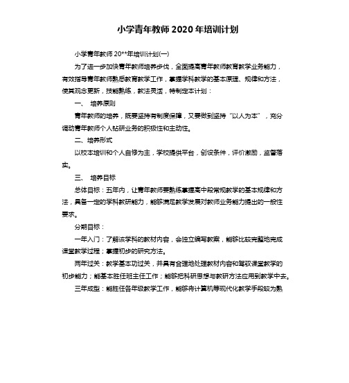 小学青年教师2020年培训计划