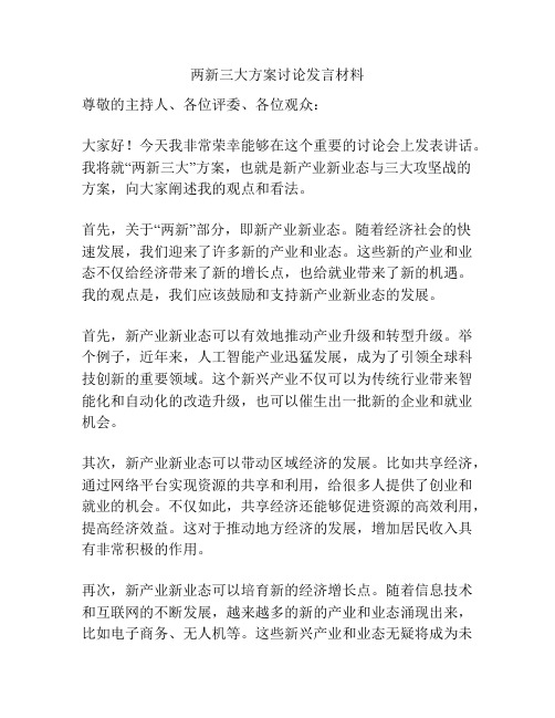 两新三大方案讨论发言材料