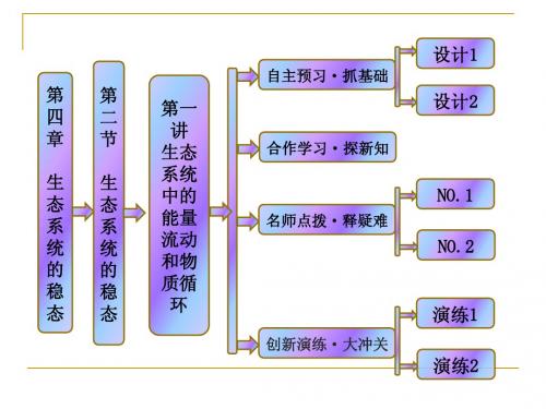 4.2 生态系统的稳态  第一讲   生态系统中的能量流动和物质循环 课件(苏教必修3)