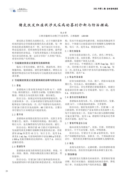 猪皮肤发红症状涉及疾病的鉴别诊断与防治措施