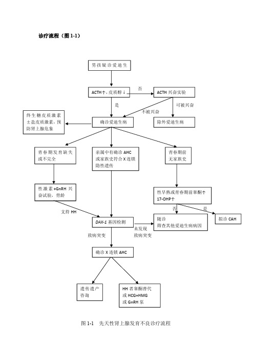 先天性肾上腺发育不良诊疗流程