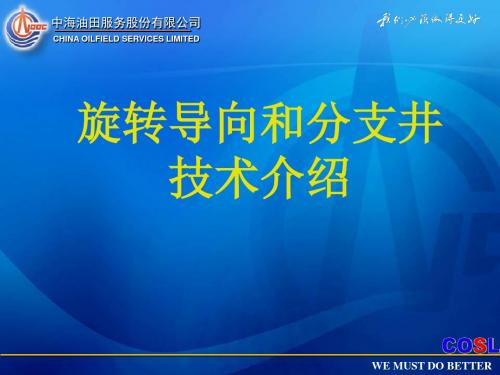 旋转导向和分支井技术介绍-中海油服(推荐)解读