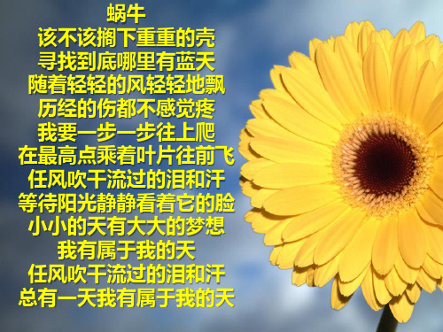金边凤尾裙