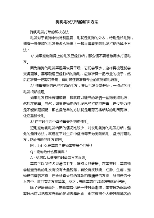 狗狗毛发打结的解决方法