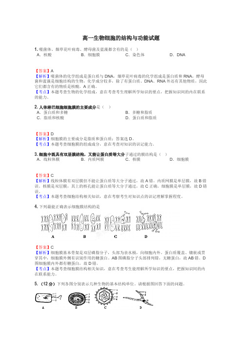 高一生物细胞的结构与功能试题
