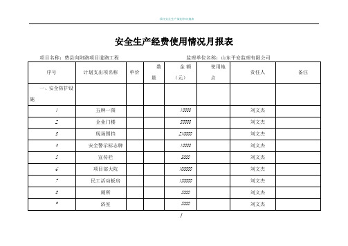 安全生产经费使用计划统计表