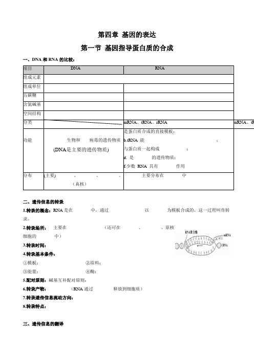 第4章基因的表达(填空版)