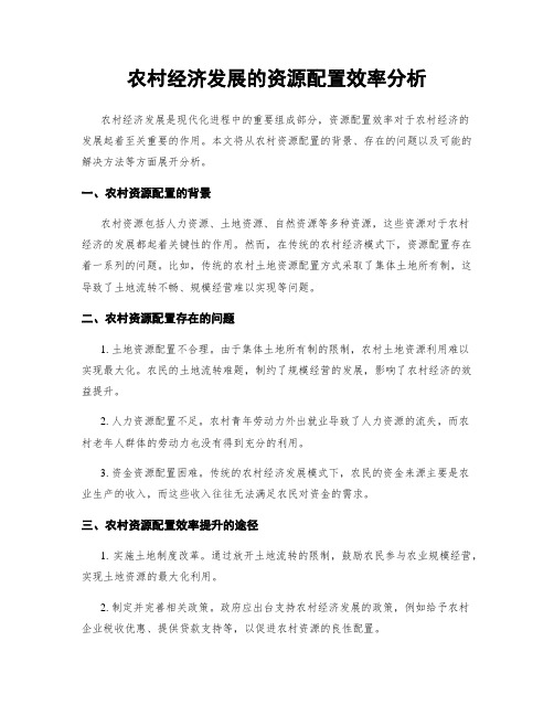 农村经济发展的资源配置效率分析