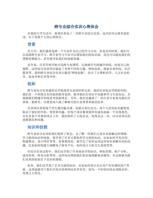 跨专业综合实训心得体会