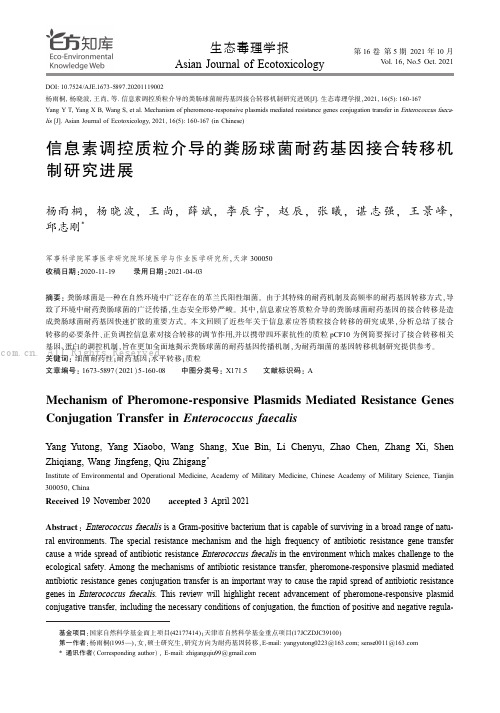 信息素调控质粒介导的粪肠球菌耐药基因接合转移机制研究进展