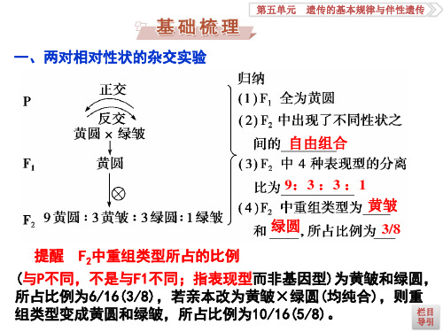 孟德尔的豌豆杂交实验