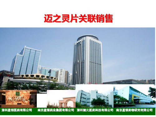 迈之灵片关联销售ppt课件