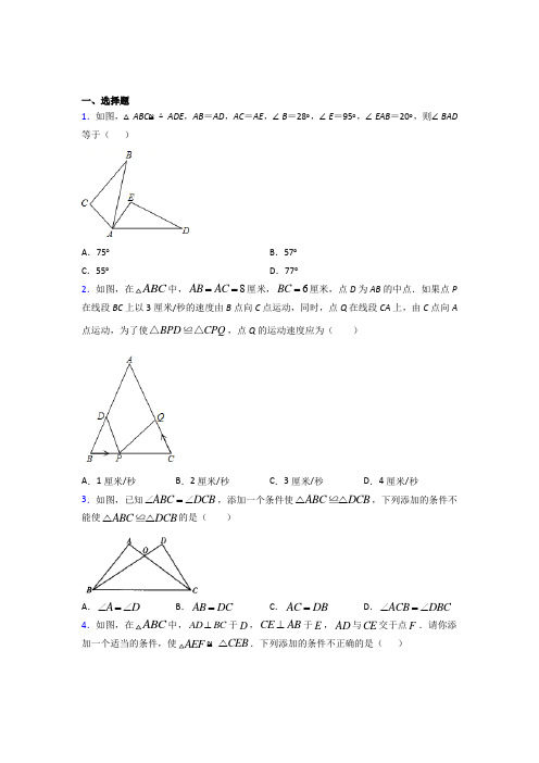 青海师范大学附属中学八年级数学上册第十二章【全等三角形】测试(培优提高)