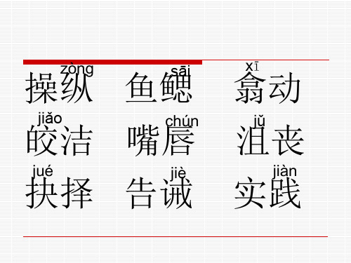 钓鱼的启示-15.ppt