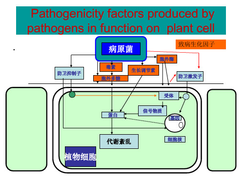 植物病原物的寄生性和致病性