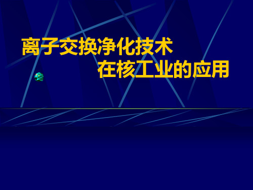 核工业用离子交换树脂PPT课件