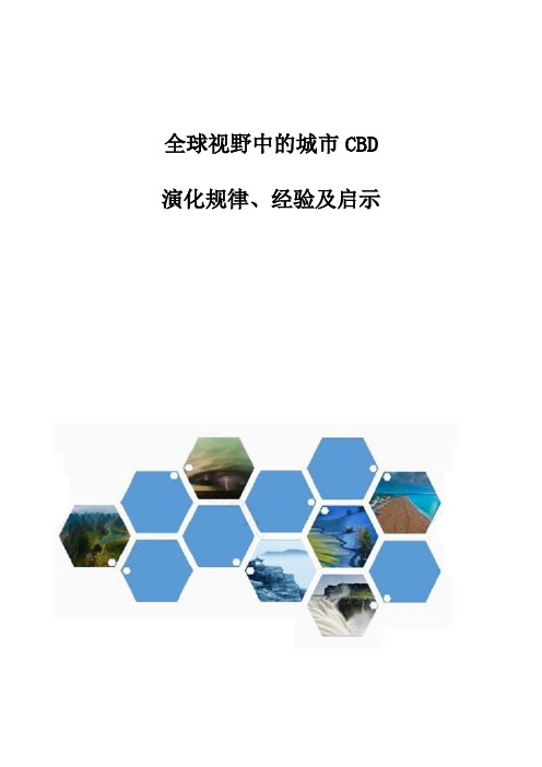 全球视野中的城市CBD：演化规律、经验及启示