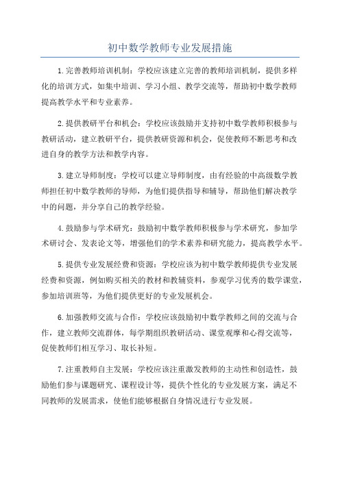 初中数学教师专业发展措施