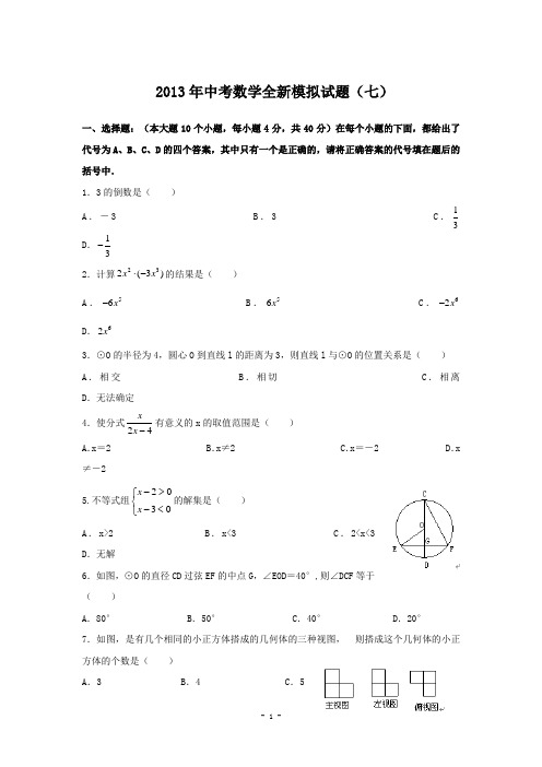 2013年中考数学全新模拟试题(七)