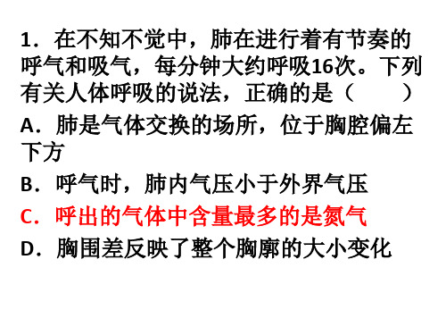 第二节  发生在肺内的气体交换练习题