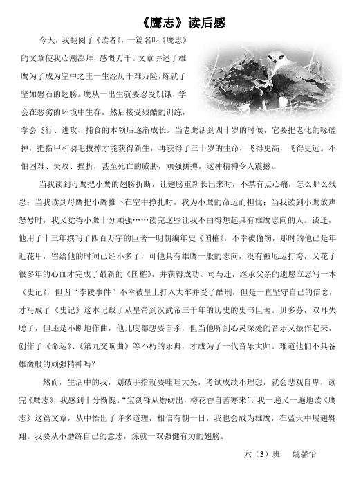 鹰志