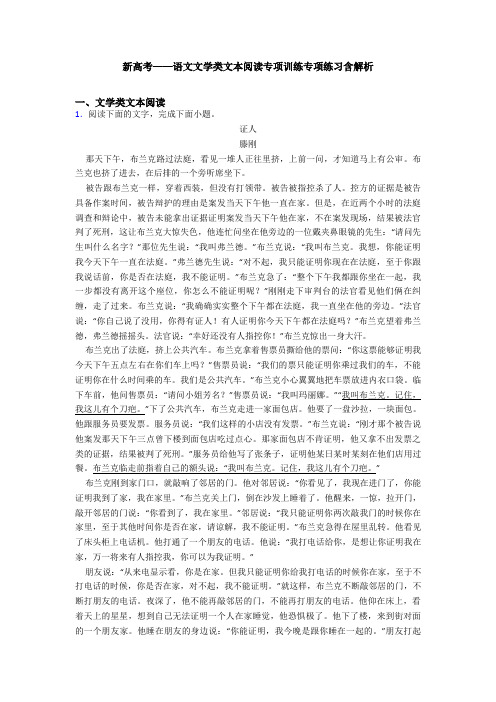 新高考——语文文学类文本阅读专项训练专项练习含解析