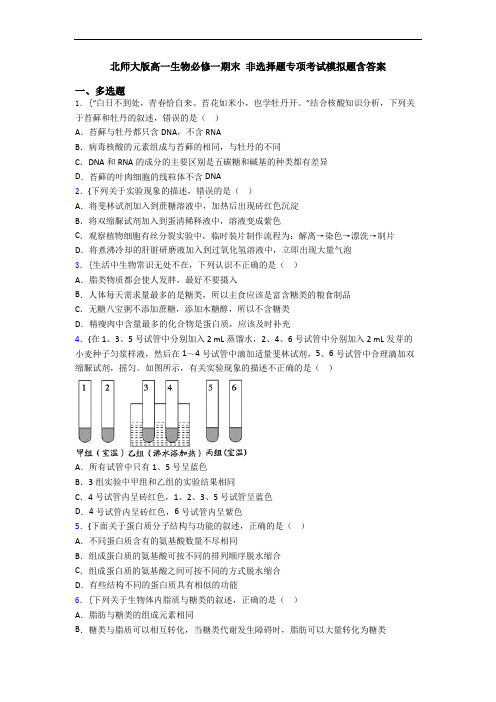 北师大版高一生物必修一期末 非选择题专项考试模拟题含答案