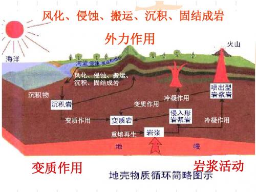 【高中地理】探讨地壳的运动、变化及其成因：造成地表形态变化的外力作用ppt