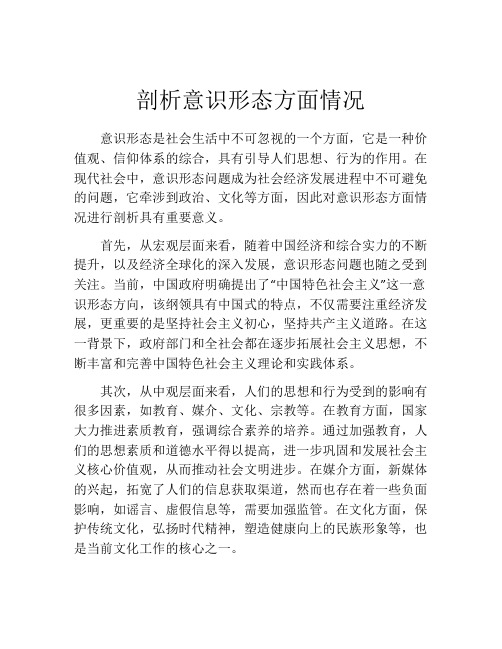 剖析意识形态方面情况