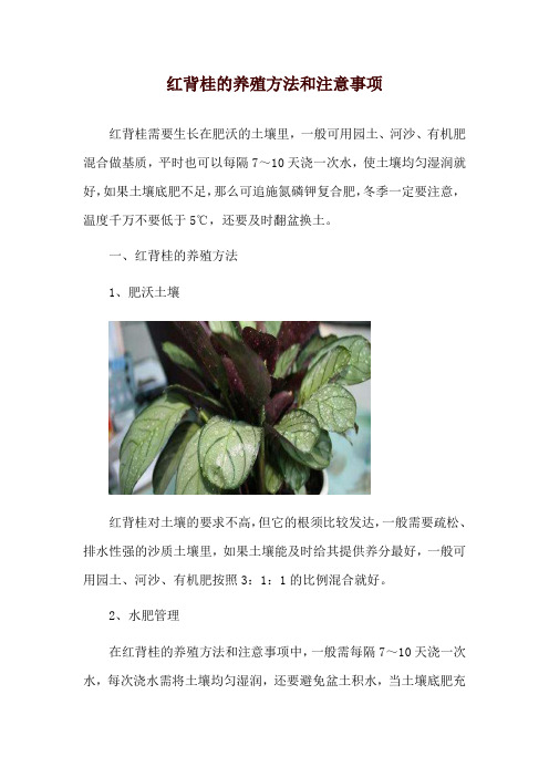 红背桂的养殖方法和注意事项