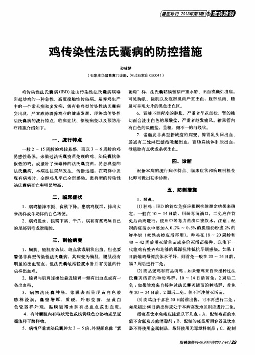 鸡传染性法氏囊病的防控措施