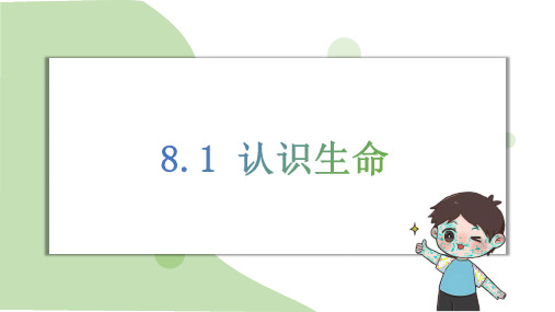 8.1 认识生命课件(18张PPT内嵌视频) 2024-2025学年道德与法治统编版七年级上册