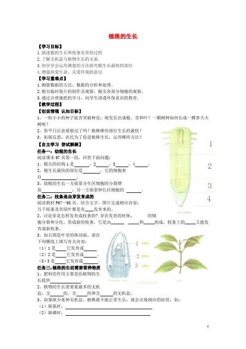 七年级生物上册 3.2.2 植株的生长导学案(无答案)(新版)新人教版