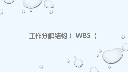 工作分解结构(WBS)