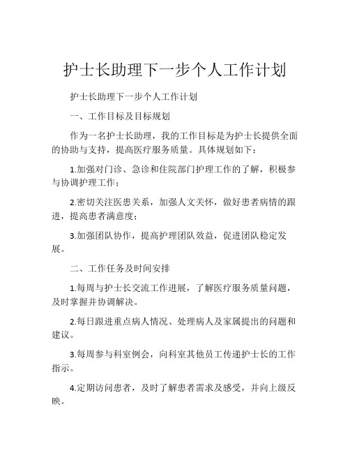 护士长助理下一步个人工作计划