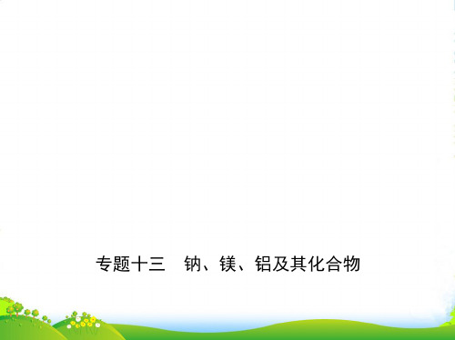 版高考化学《5年高考3年模拟》A版课件：专题十三 钠、镁、铝及其化合物(共25张)