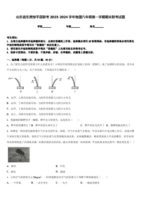 山东省东营邹平县联考2023-2024学年物理八年级第一学期期末联考试题含答案