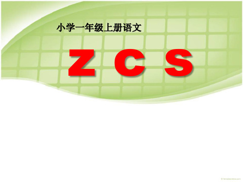 《zcs》课件PPT