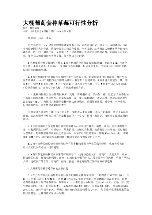 大棚葡萄套种草莓可行性分析