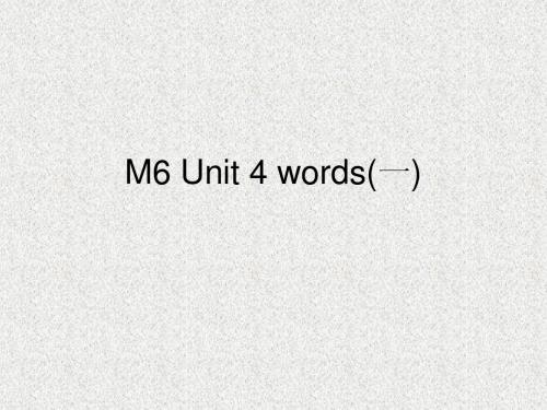 M6 Unit 4 words(一)