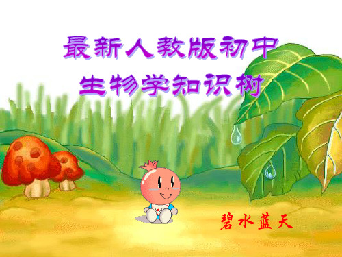XXXX秋-XXXX春新版初中生物学知识树(冲突时的文件备份2